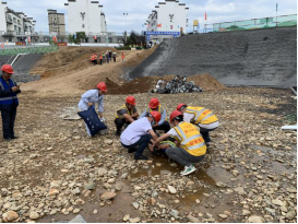 1656054574723266.png 4f00a283f804b3b6c9e01d6e9ffb821.png