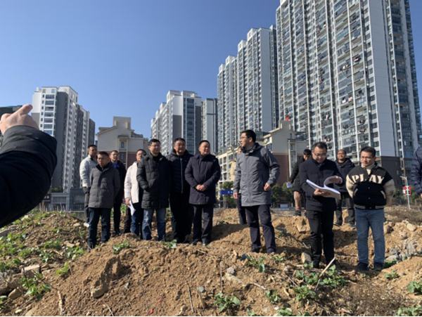 1675127062783138.jpg 10.jpg