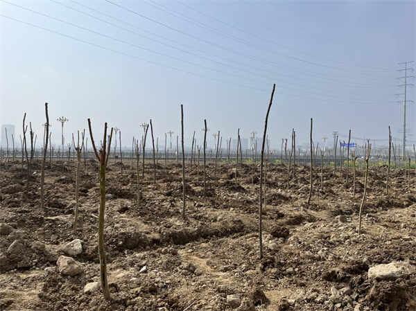 1678442732680193.png 图片4.png