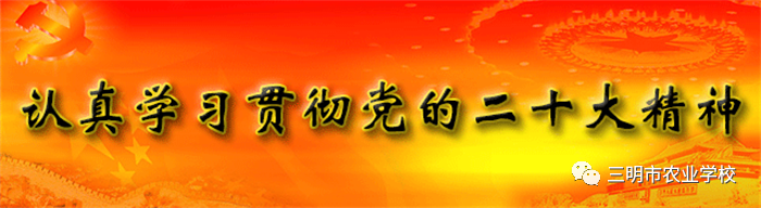 1701413770871105.png