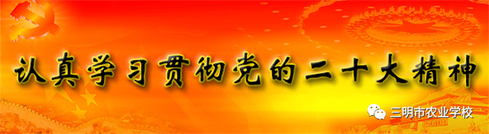 1705652831457502.png