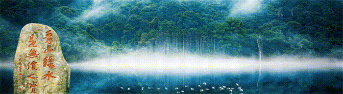 1752112051681514.gif